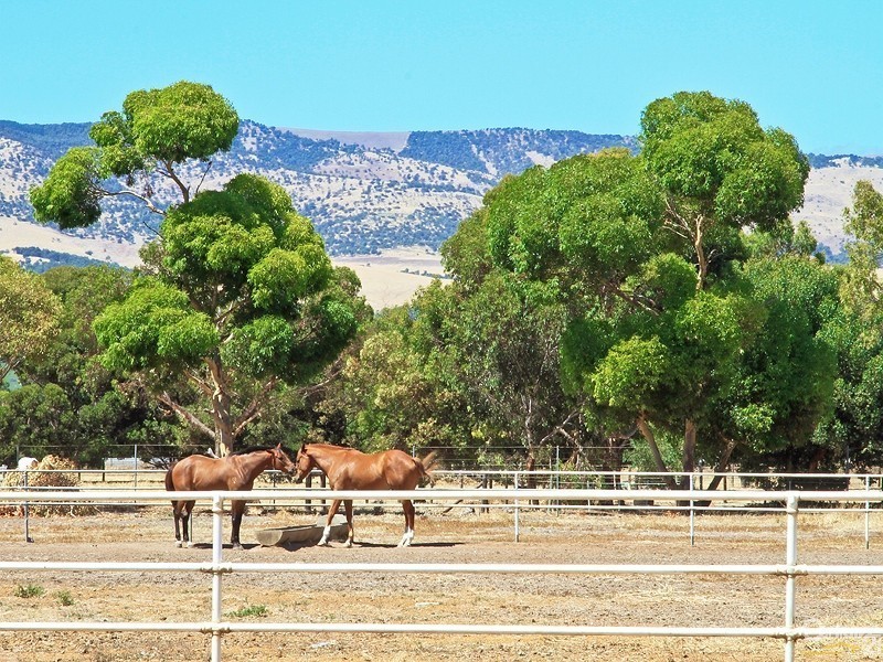 Lot 3 Aldinga Beach Road, Aldinga SA 5173