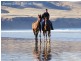Lot 3 Aldinga Beach Road, Aldinga SA 5173