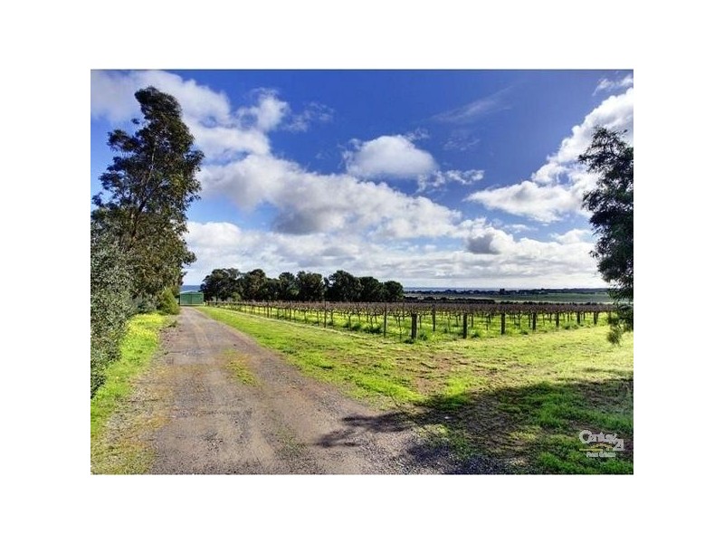 81A Justs Road, Sellicks Beach SA 5174