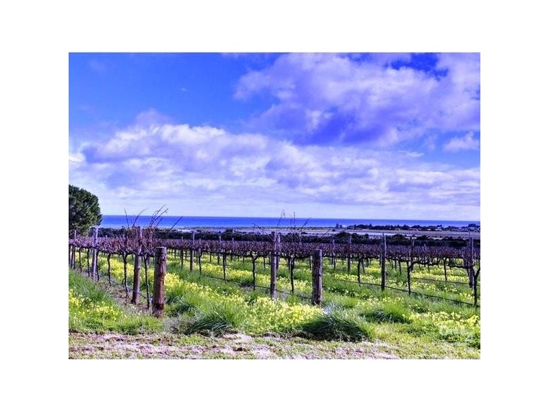 81A Justs Road, Sellicks Beach SA 5174