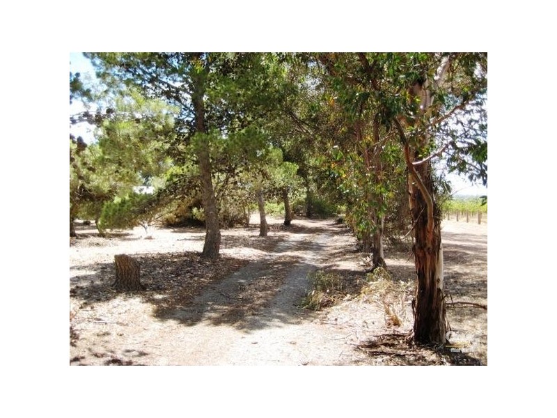 81 Justs Road, Sellicks Beach SA 5174