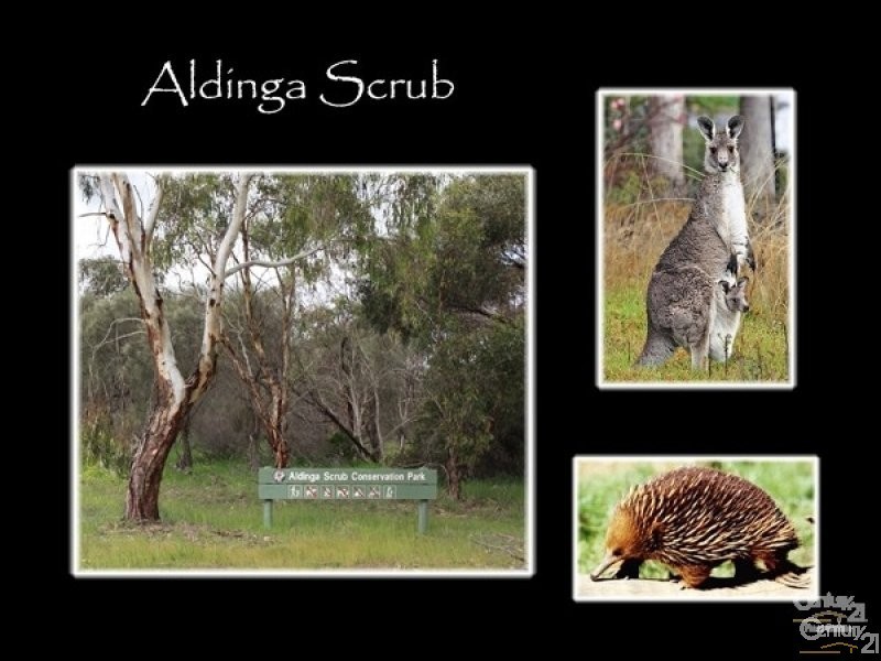 61 Bushtail Avenue, Aldinga Beach SA 5173