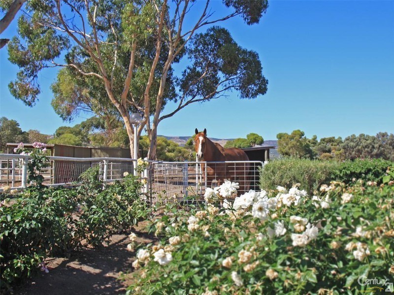 Lot 3 Aldinga Beach Road, Aldinga Beach SA 5173