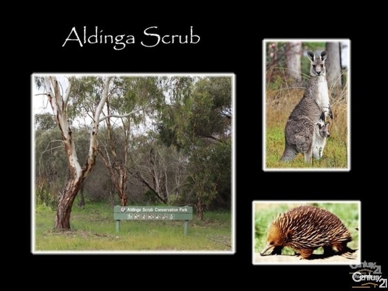 61 Bushtail Avenue, Aldinga Beach SA 5173