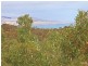 6 Fraser Street, Aldinga Beach SA 5173