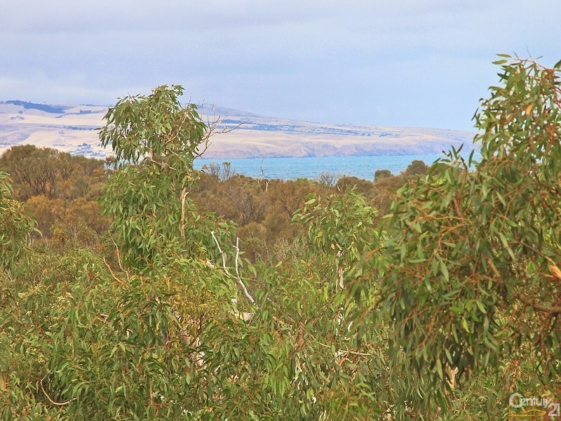 6 Fraser Street, Aldinga Beach SA 5173