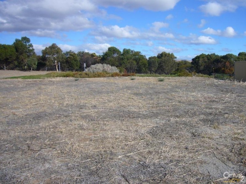 22 Scrub Avenue, Aldinga Beach SA 5173