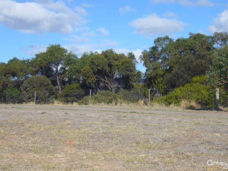 22 Scrub Avenue, Aldinga Beach SA 5173