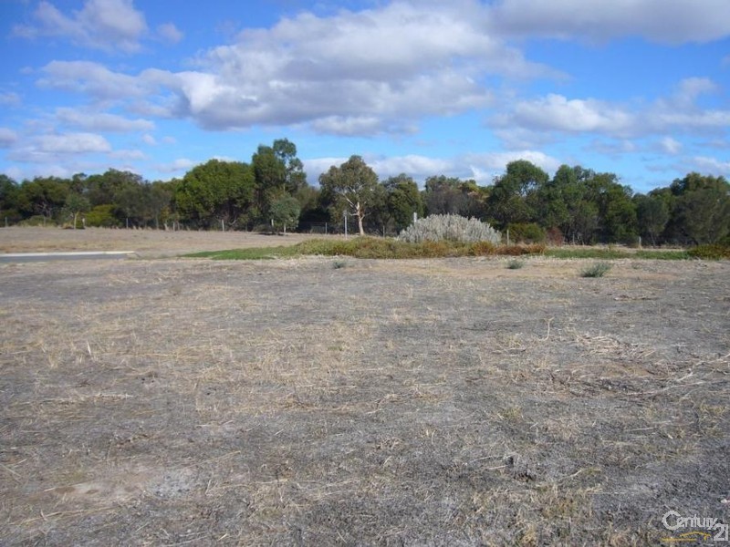 22 Scrub Avenue, Aldinga Beach SA 5173