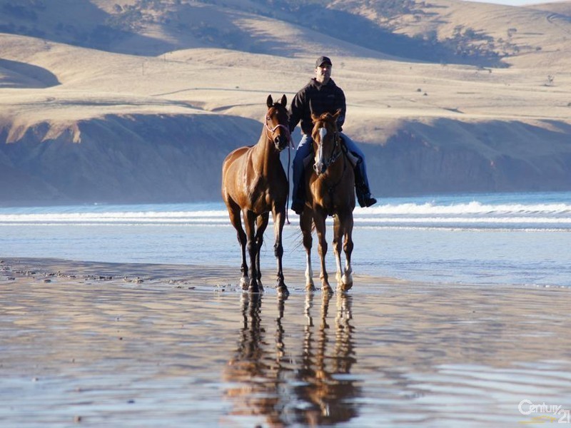 6 Duncanson Avenue, Sellicks Beach SA 5174