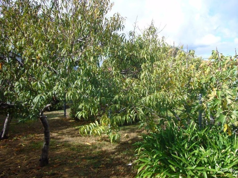 55 Rowley Road, Aldinga Beach SA 5173