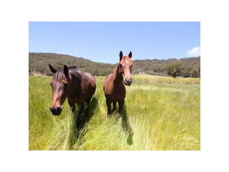 327 Barclay Road, Myponga SA 5202