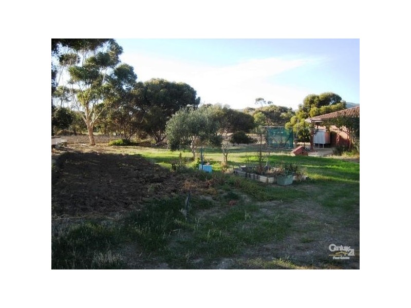 58 Norman Road, Aldinga Beach SA 5173