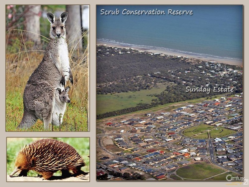 6 Mistletoe Street, Aldinga Beach SA 5173