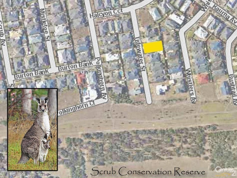 7 Tidewater Street, Aldinga Beach SA 5173