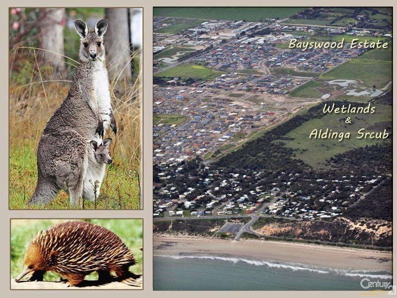 87 Emerald Boulevard, Aldinga Beach SA 5173