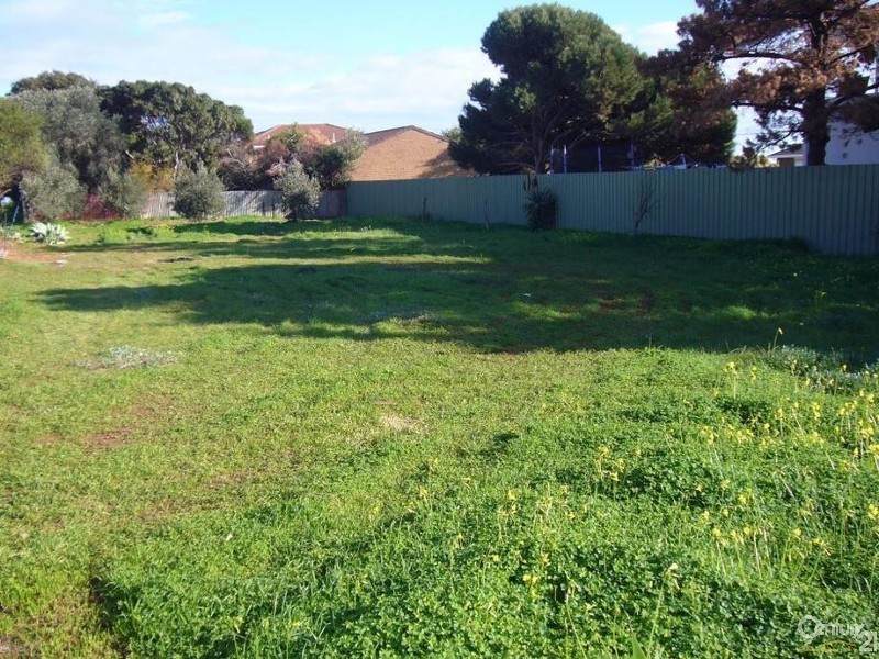 52 Wellington Avenue, Sellicks Beach SA 5174