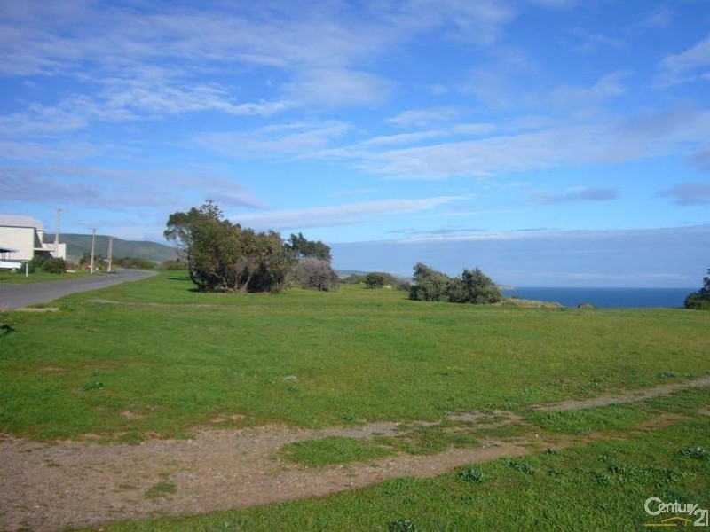 52 Wellington Avenue, Sellicks Beach SA 5174