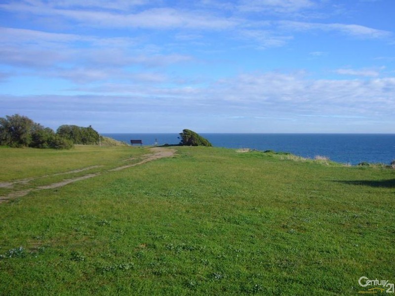 52 Wellington Avenue, Sellicks Beach SA 5174