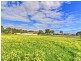 Lot 174 Casino Boulevard, Sellicks Beach SA 5174