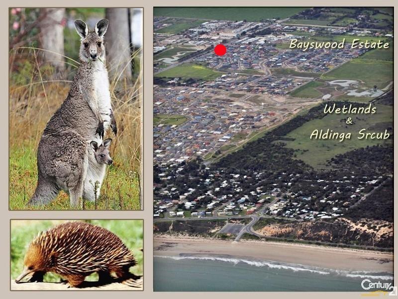 214 Aldinga Beach Road, Aldinga Beach SA 5173