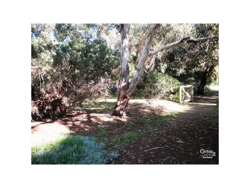 40 Kestrel Terrace, Aldinga Beach SA 5173