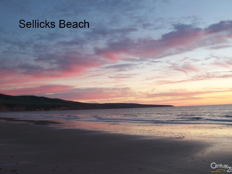 73 Wellington Avenue, Sellicks Beach SA 5174