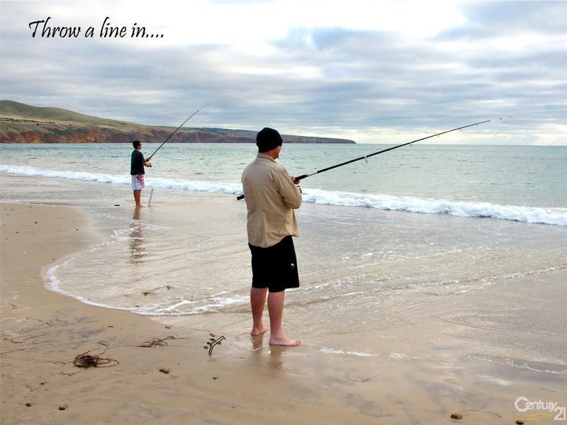 73 Wellington Avenue, Sellicks Beach SA 5174