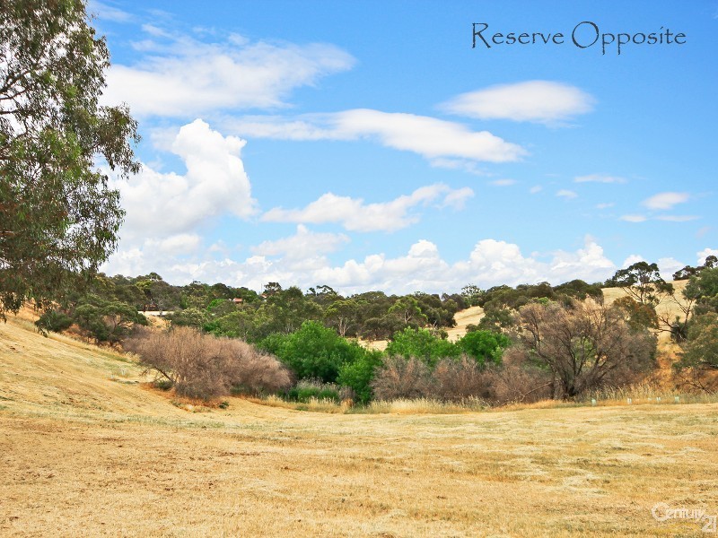 17 Owen Court, Christie Downs SA 5164