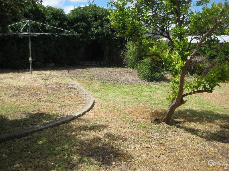 16 Felix Street, Morphett Vale SA 5162