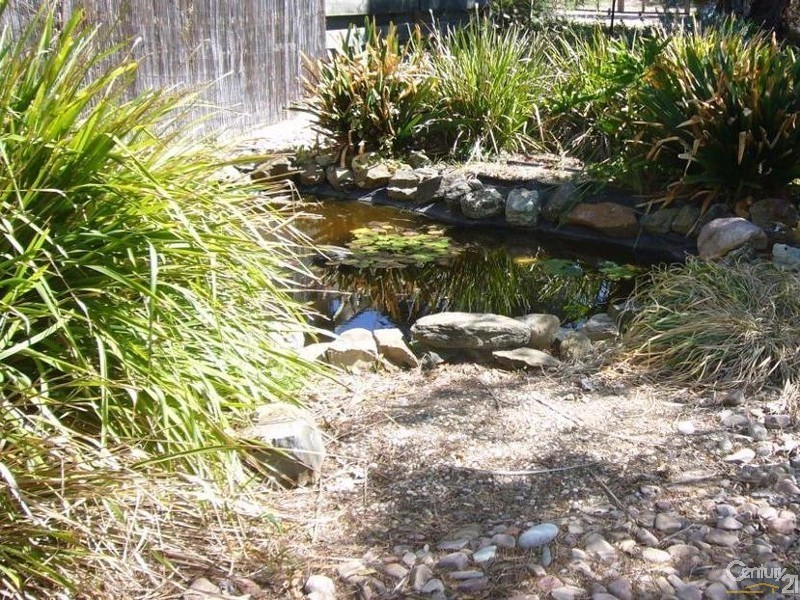 16 Treasure Street, Aldinga Beach SA 5173