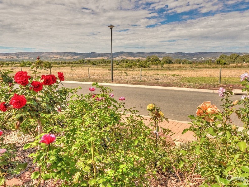 22 Indigo Court, Aldinga Beach SA 5173