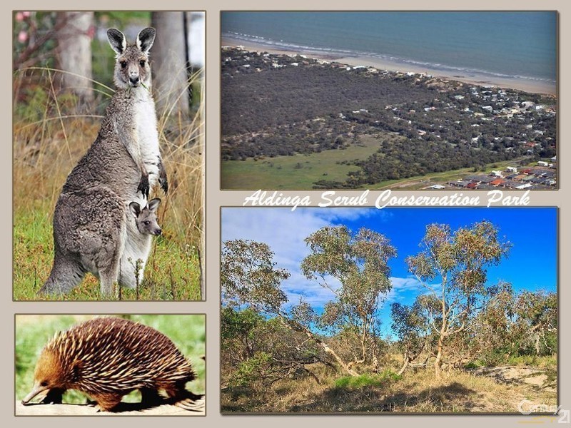 24 Symonds Street, Aldinga Beach SA 5173