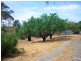 13 William Street, Port Willunga SA 5173