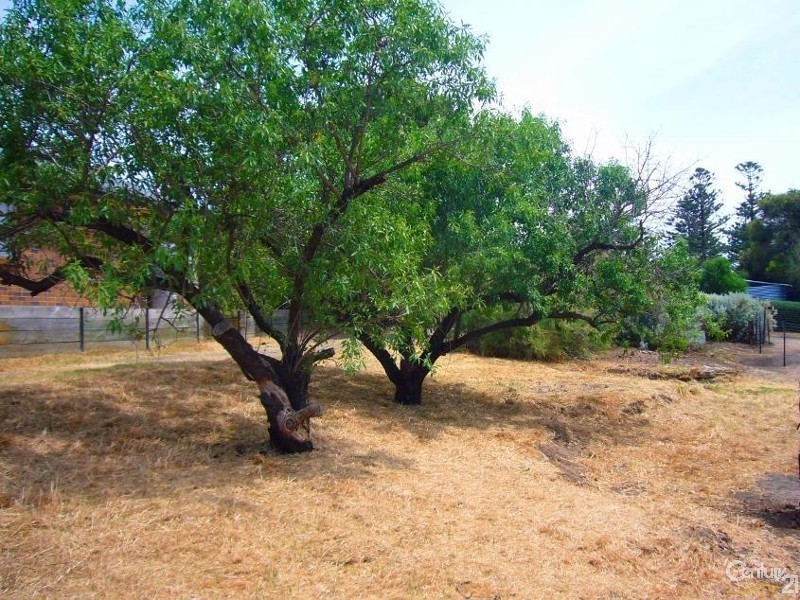 13 William Street, Port Willunga SA 5173