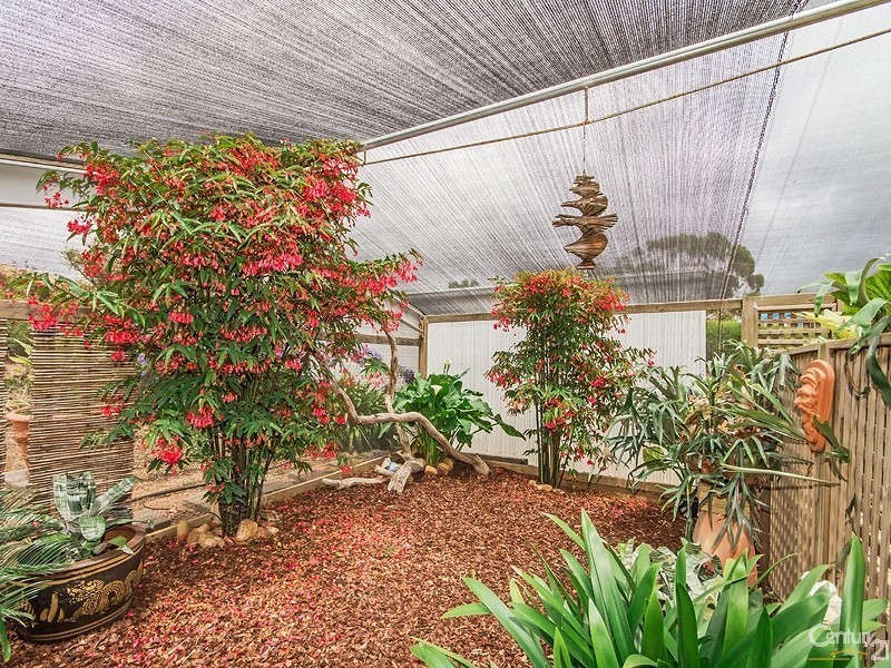 134 Wellington Avenue, Sellicks Beach SA 5174