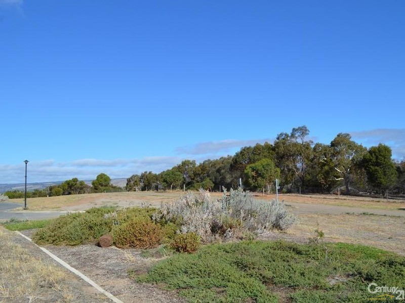 22 Scrub Avenue, Aldinga Beach SA 5173