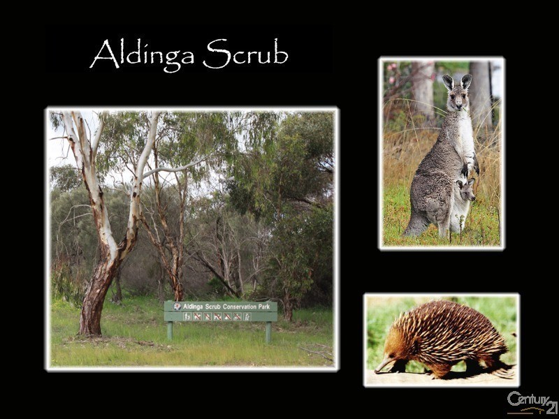28 Symonds Street, Aldinga Beach SA 5173