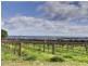 81 Justs Road, Sellicks Beach SA 5174