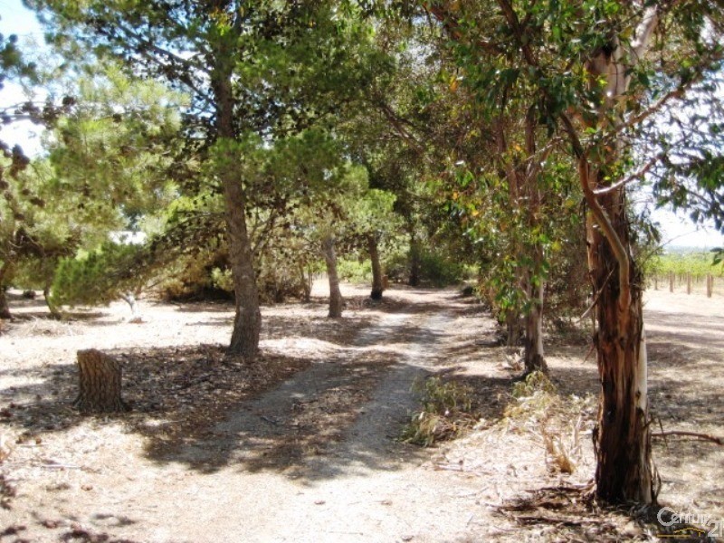 81 Justs Road, Sellicks Beach SA 5174