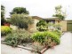 16 Joel Street, Morphett Vale SA 5162