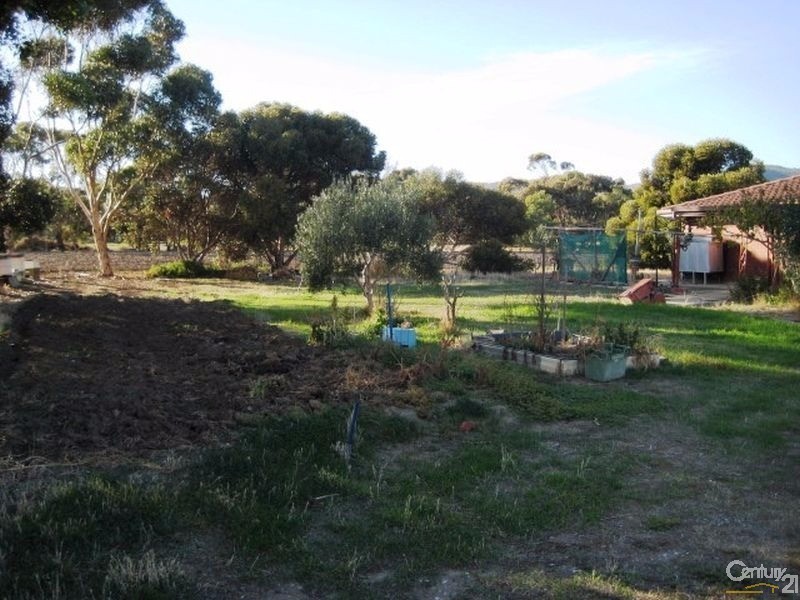 58 Norman Road, Aldinga Beach SA 5173