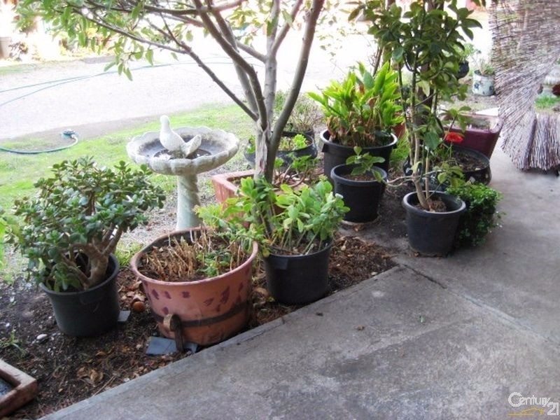 58 Norman Road, Aldinga Beach SA 5173