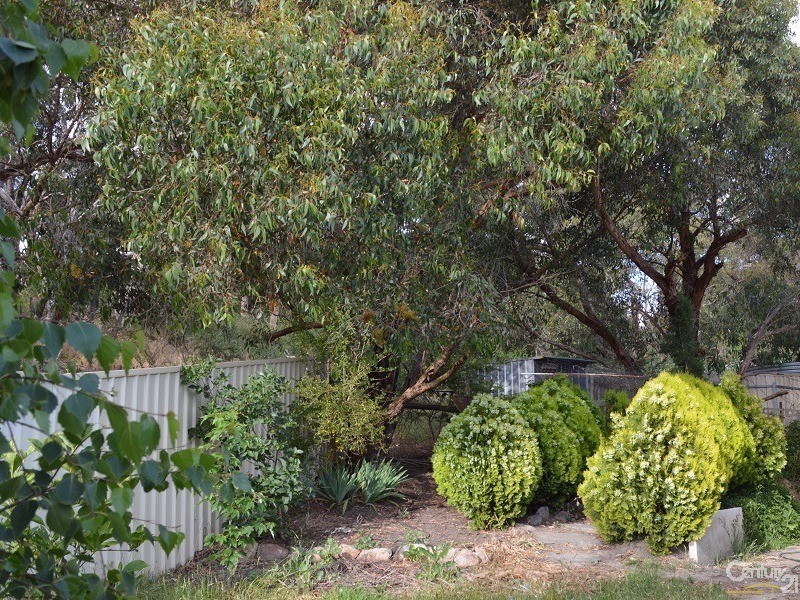 11 Sturt Place, Mount Compass SA 5210