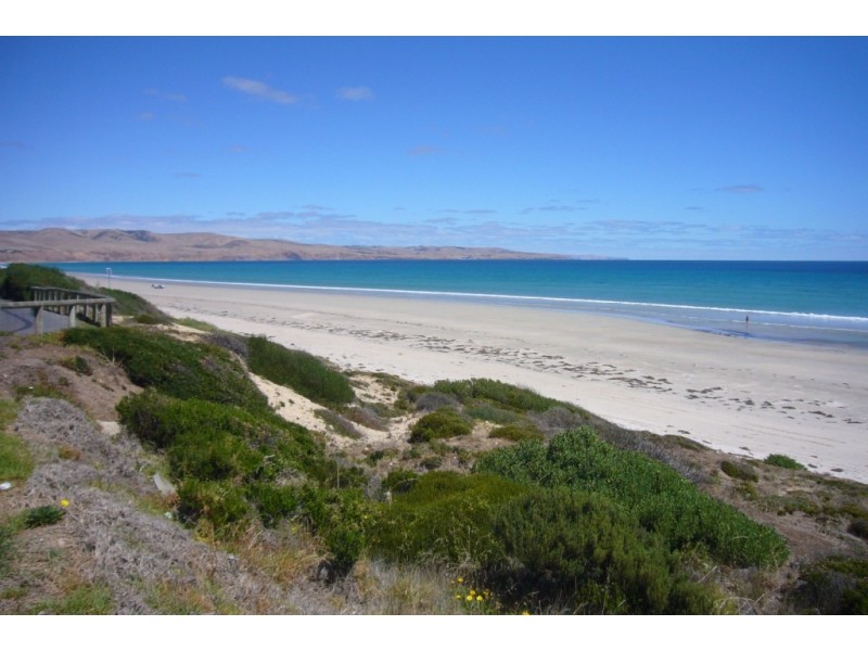 8 Treasure Street, Aldinga Beach SA 5173