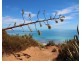 14 Esplanade, Sellicks Beach SA 5174