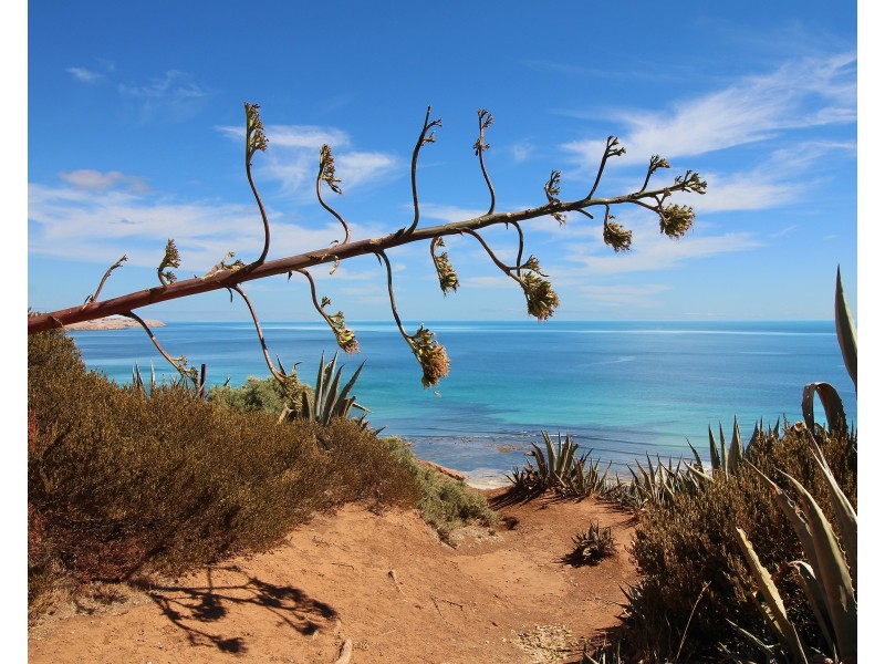 14 Esplanade, Sellicks Beach SA 5174