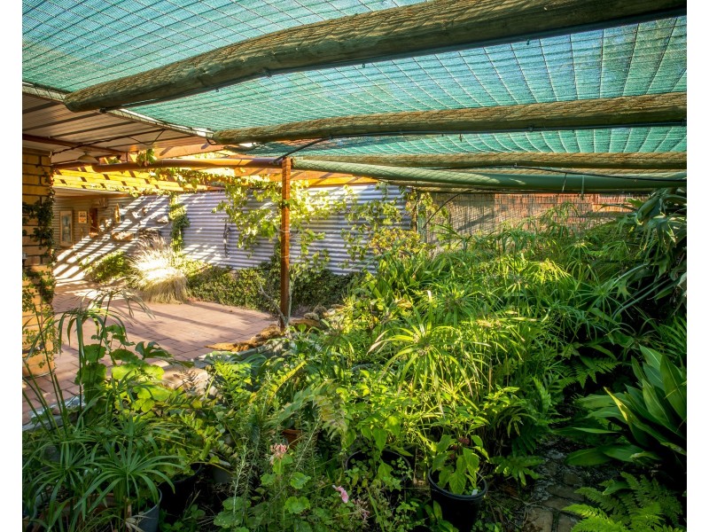 53 Acacia Terrace, Aldinga Beach SA 5173