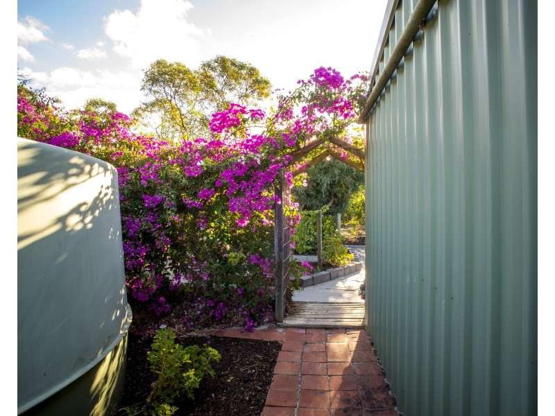 53 Acacia Terrace, Aldinga Beach SA 5173