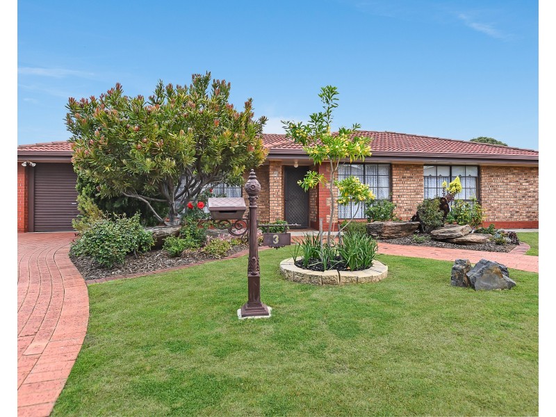 3 Dotterel Place, Seaford Rise SA 5169